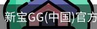 新宝GG